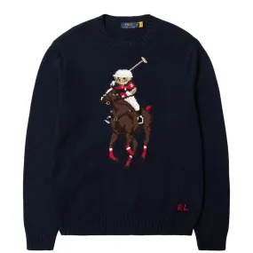 Polo Bear and Big Pony Sweater